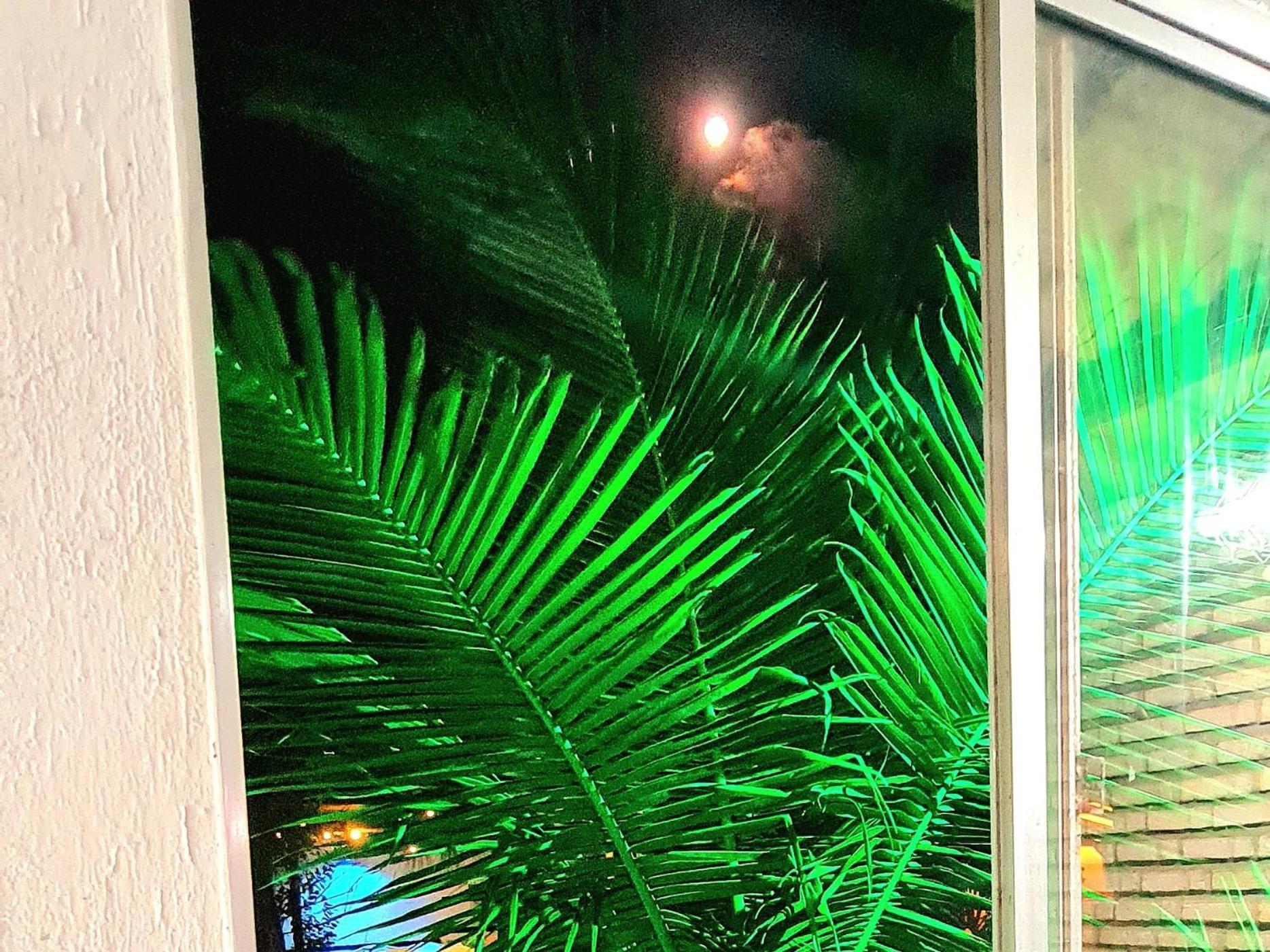 Di Pipa Rooms - Hidromassagem Externa Praia de Pipa Exteriér fotografie